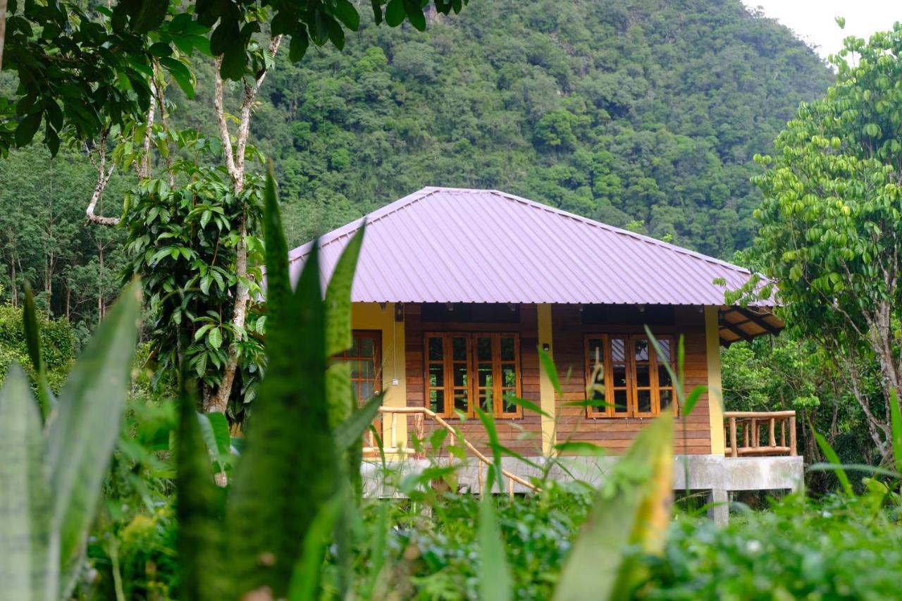 Monkey Mansion - Jungalows & Tours Khao Sok National Park Екстериор снимка