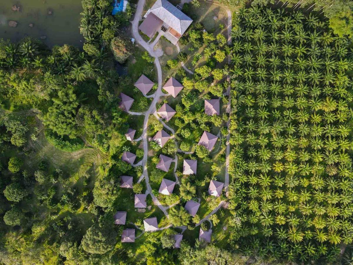 Monkey Mansion - Jungalows & Tours Khao Sok National Park Екстериор снимка