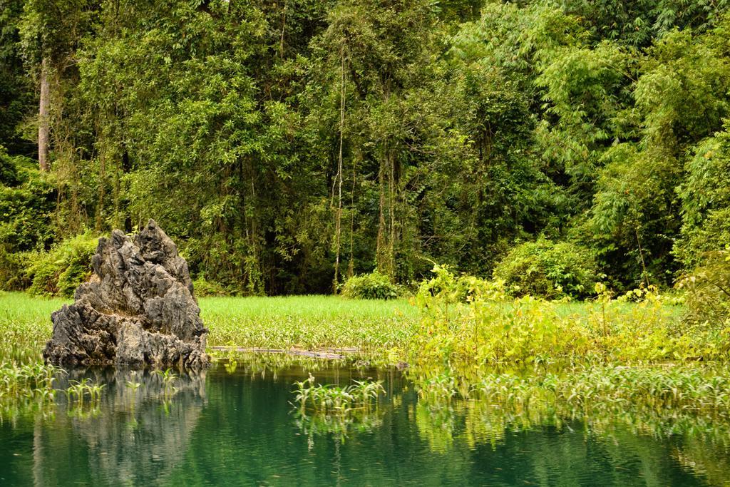 Monkey Mansion - Jungalows & Tours Khao Sok National Park Екстериор снимка